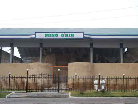 Settlement "Ming Urik"